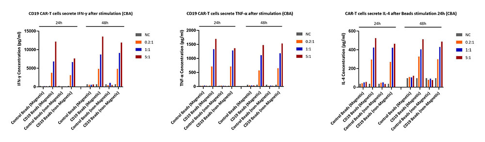 CD19 CYTOKINES