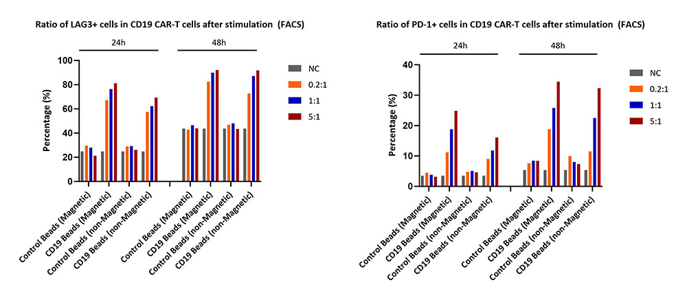 CD19 EXHAUSTION MARKER
