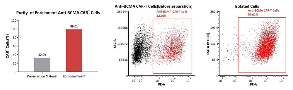 Streptavidin APPLICATION DATA