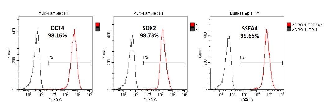 Vitronectin APPLICATION DATA