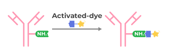 Assay Principles