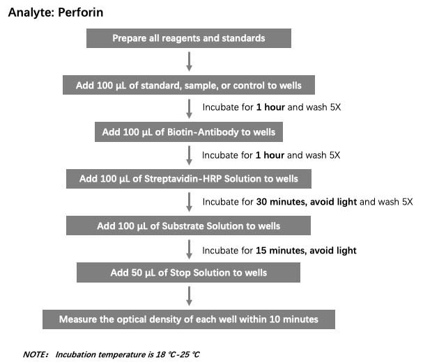 Perforin Workflow