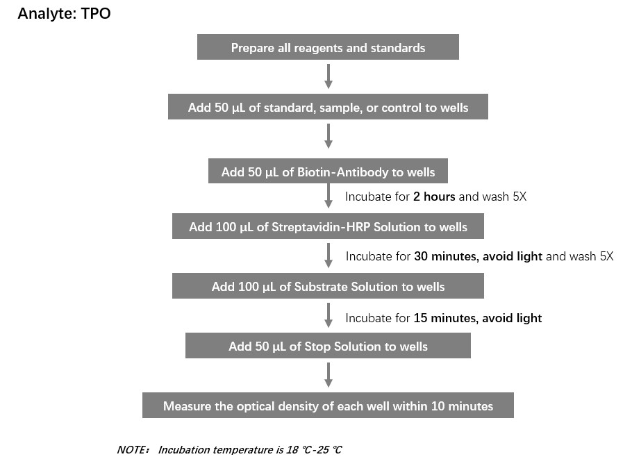 TPO Workflow