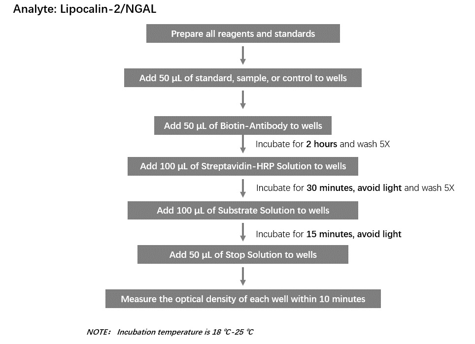 Lipocalin-2 Workflow