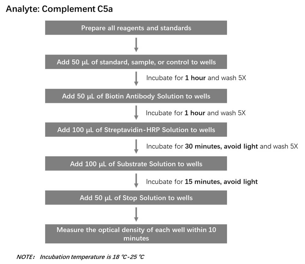 Complement C5a Workflow