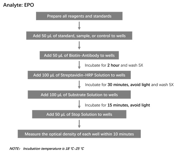 EPO Workflow