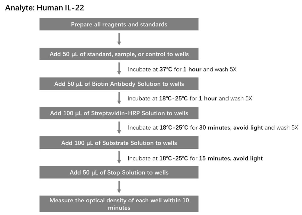 IL-22 Workflow