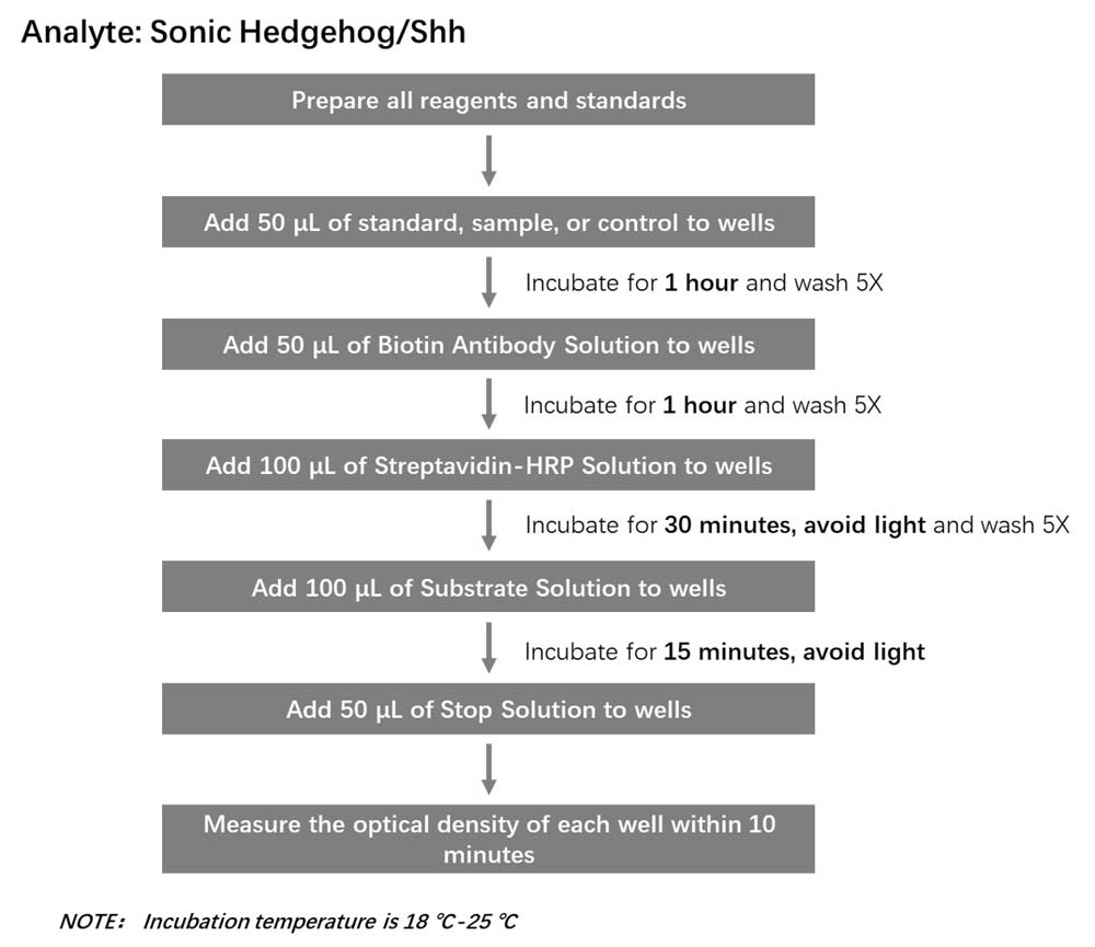 Sonic Hedgehog / Shh Workflow