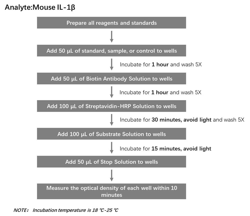 IL-1β Workflow