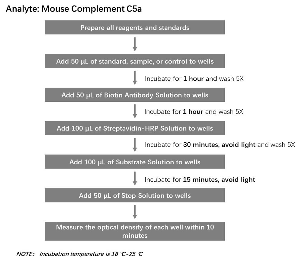 Complement C5a Workflow