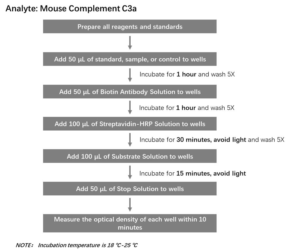 Complement C3a Workflow