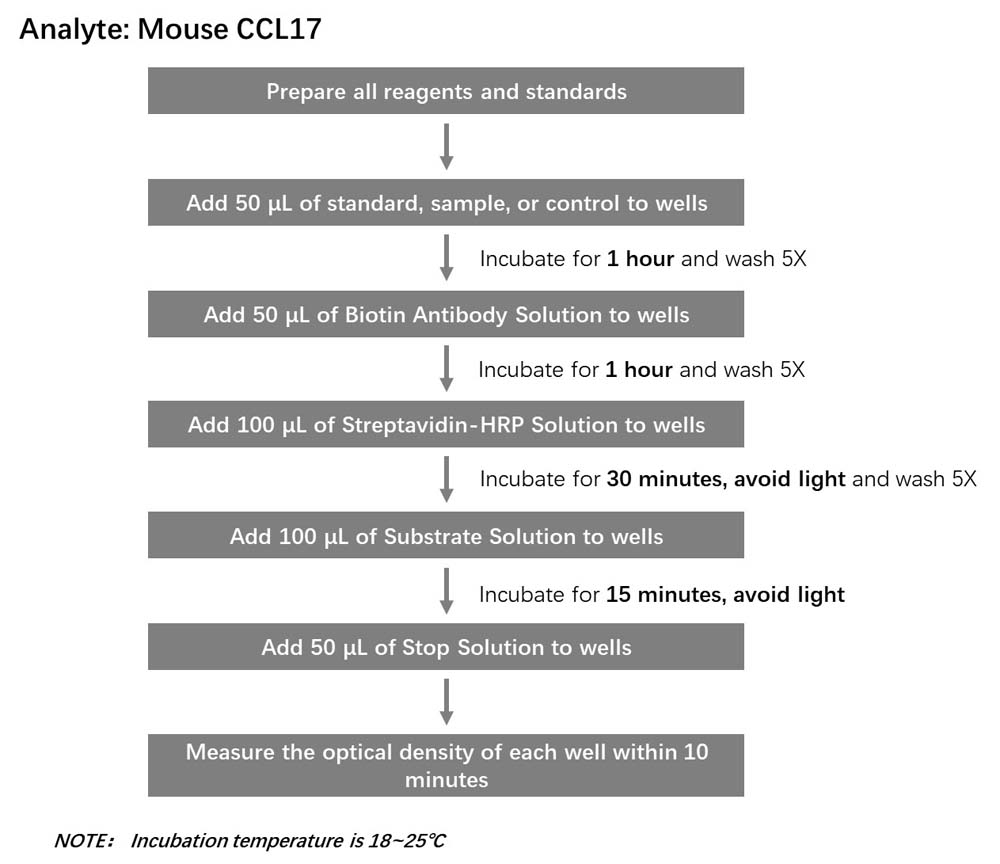 CCL17 Workflow