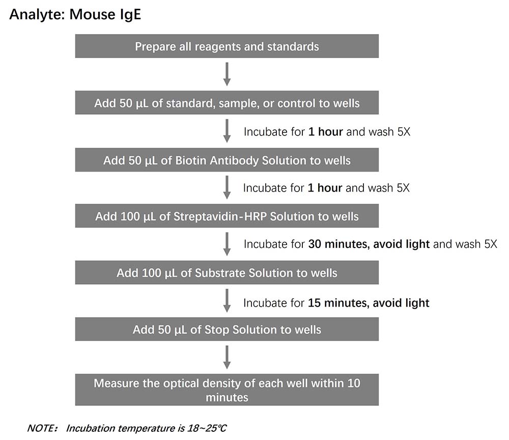 IgE Workflow