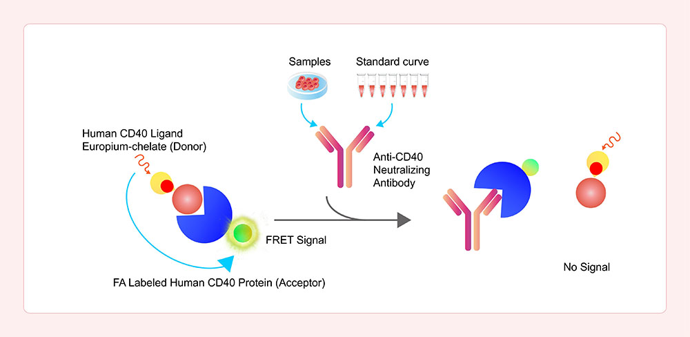 Assay Principles