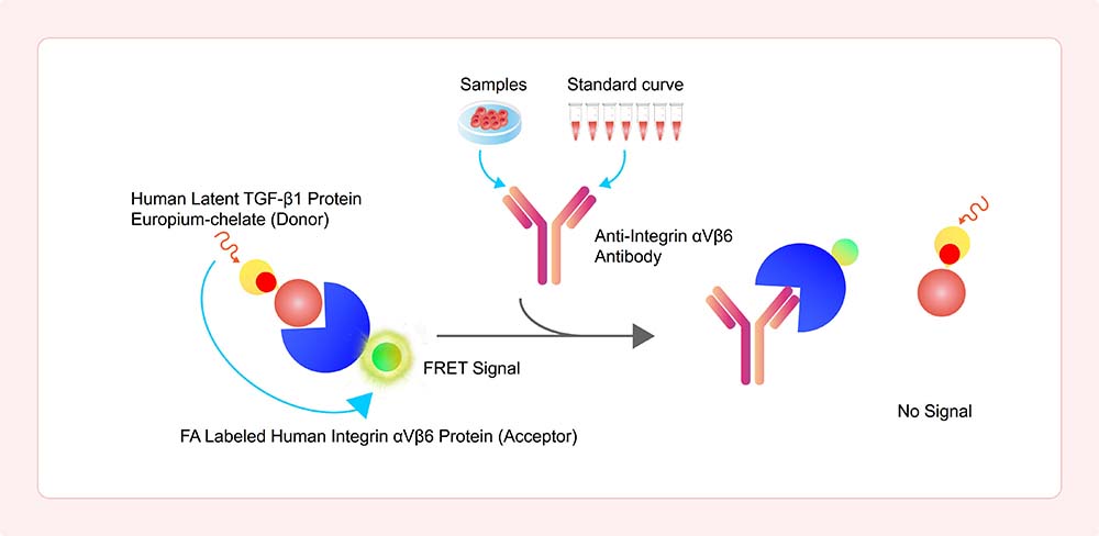 Assay Principles