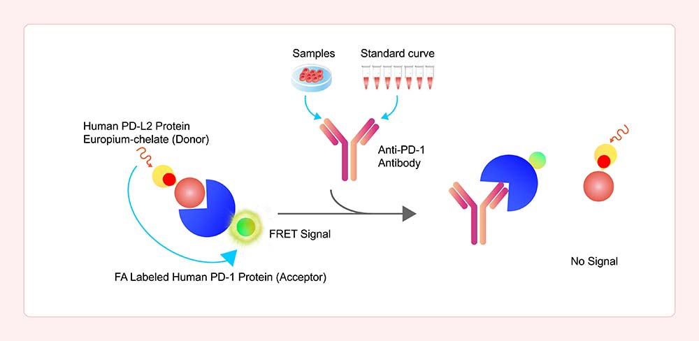 Assay Principles