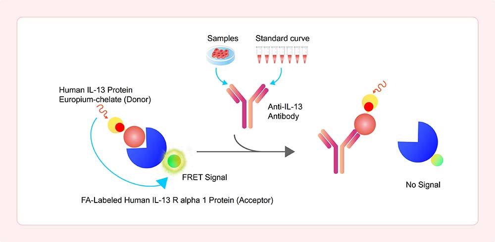 Assay Principles