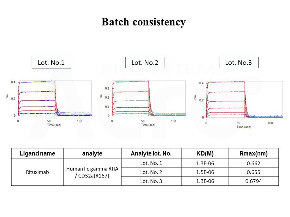 Fc gamma RIIA / CD32a BATCH BLI