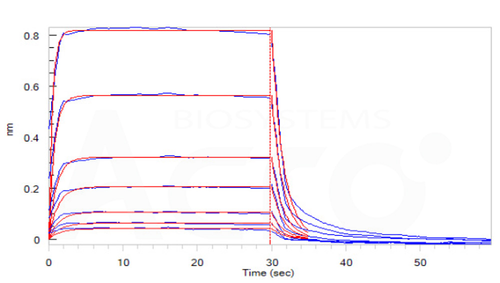 Fc gamma RIIIB / CD16b (NA1) BLI