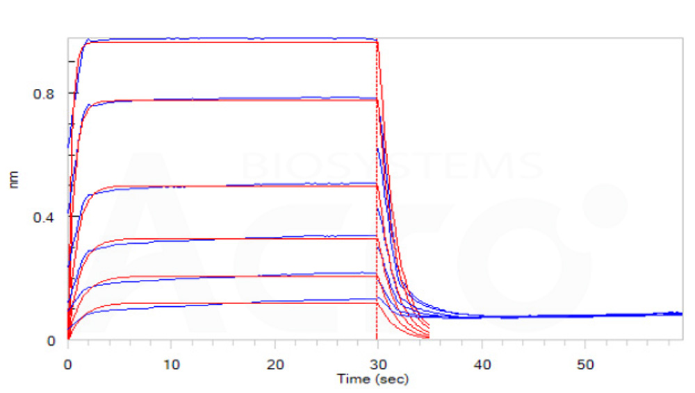 Fc gamma RIIIB / CD16b (NA1) BLI