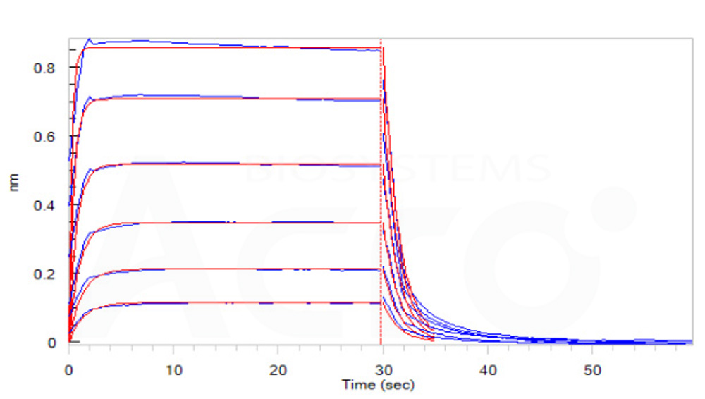 Fc gamma RIIIB / CD16b (NA2) BLI