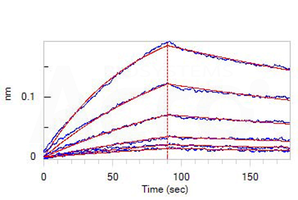 CD30 ligand BLI