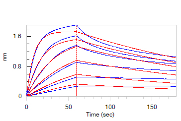CTLA-4 BLI