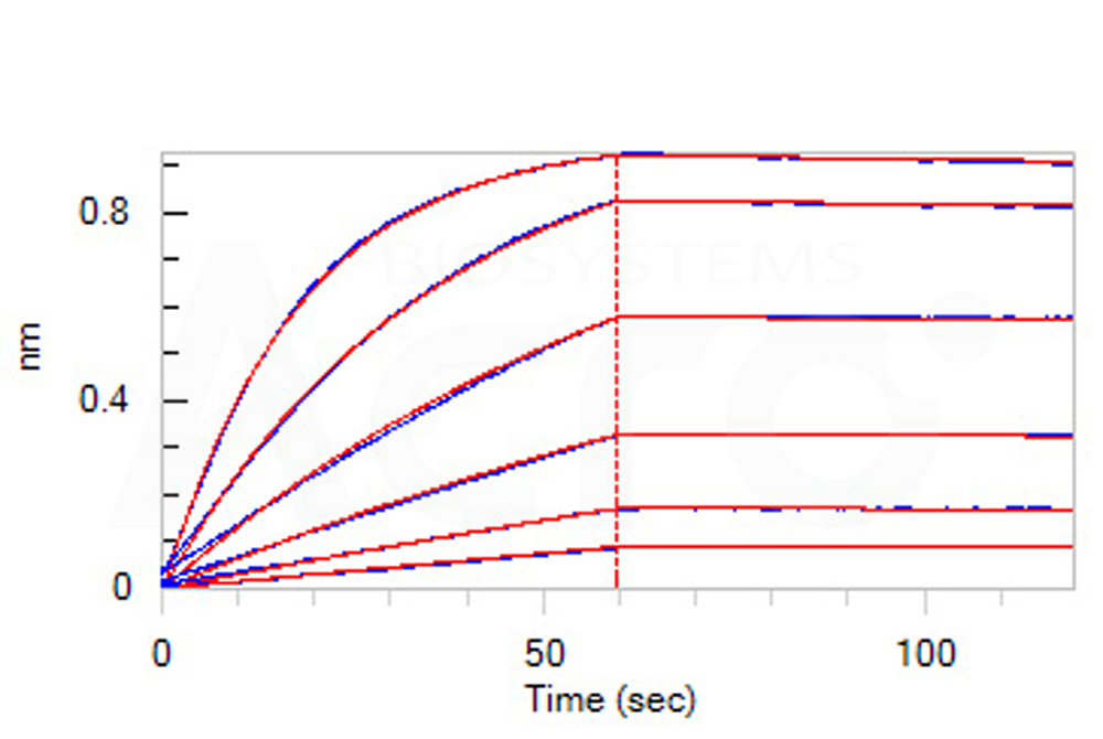 Fc gamma RI / CD64 BLI
