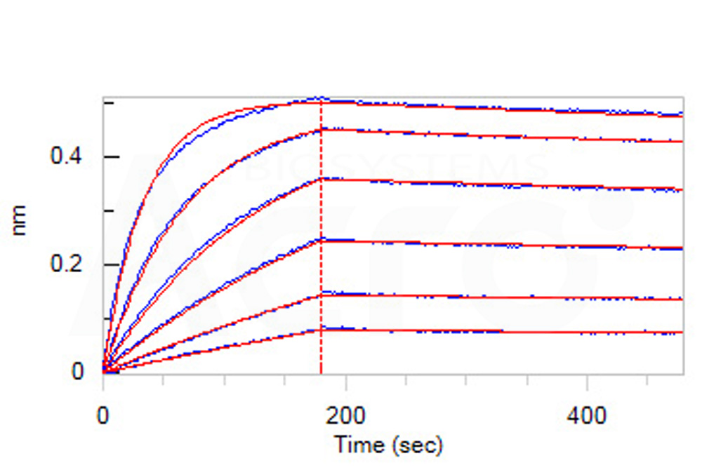 Fc gamma RI / CD64 BLI