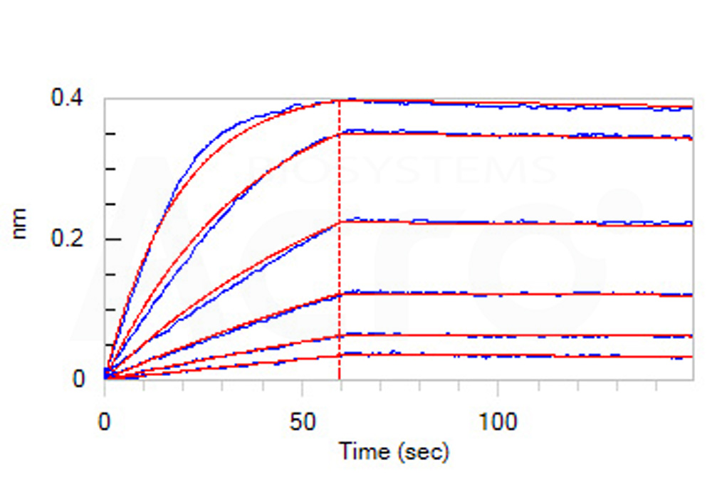 Fc gamma RI / CD64 BLI