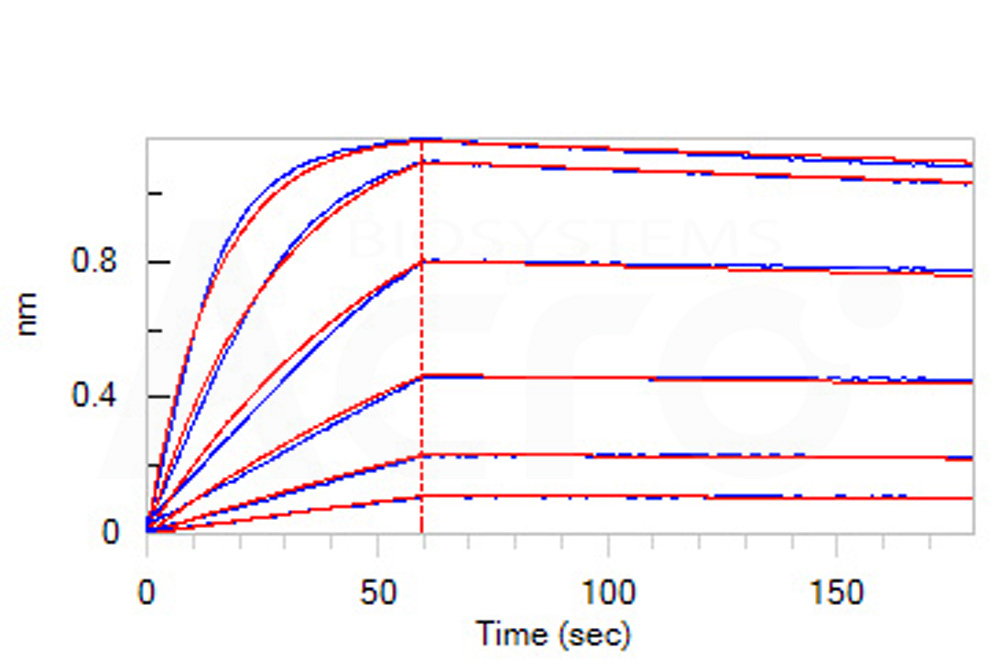 Fc gamma RI / CD64 BLI