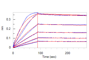 FGF R3 (IIIc) BLI
