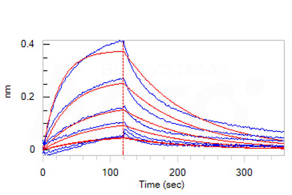 Biotinylated Human Serum Albumin Protein, His,Avitag™ (MALS ver