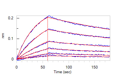IFN-alpha/beta R1 BLI