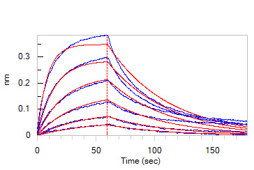 Human IFN-omega Protein, His Tag (BLI & MALS verified)