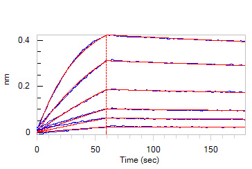 Human IgG1 Fc Protein, His Tag (MALS verified)