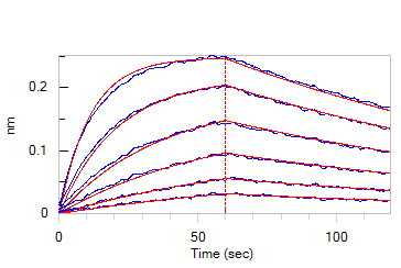 Human IgG1 Fc (C103S) Protein, Flag Tag (MALS verified)