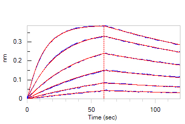Human IgG1 Fc (C103S) Protein, gD Tag (MALS verified)
