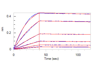 Human IL-10 Protein, His Tag