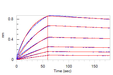Human IL-3 R alpha / CD123 Protein, Llama IgG2b Fc Tag, low end