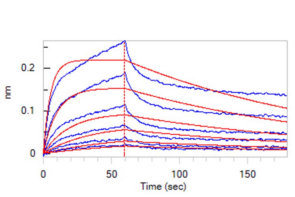 Integrin alpha 6 beta 1 BLI