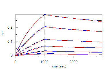 Mouse Klotho beta / KLB Protein, His Tag