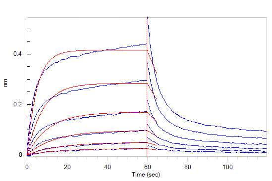 Cynomolgus / Rhesus macaque Klotho beta Protein, His Tag