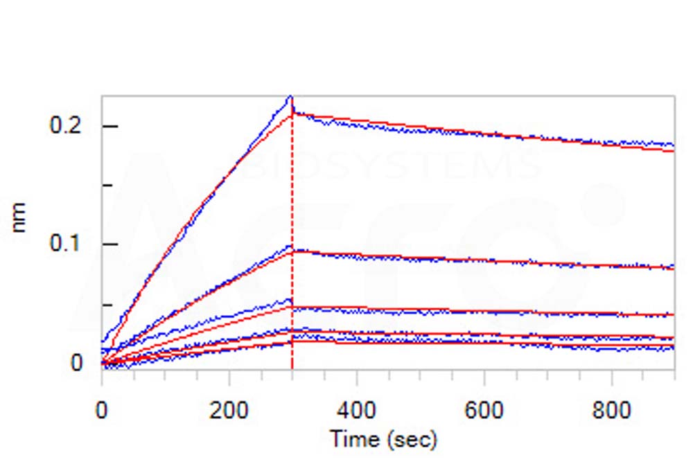 Human LAG3 / CD223 Protein, Fc Tag (MALS verified)