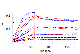 Human NGFR / TNFRSF16 Protein, Fc Tag (MALS verified)
