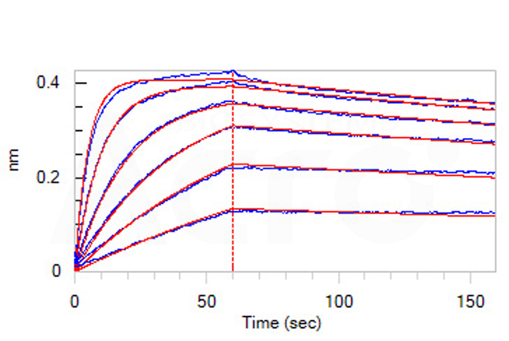 PCSK9 BLI