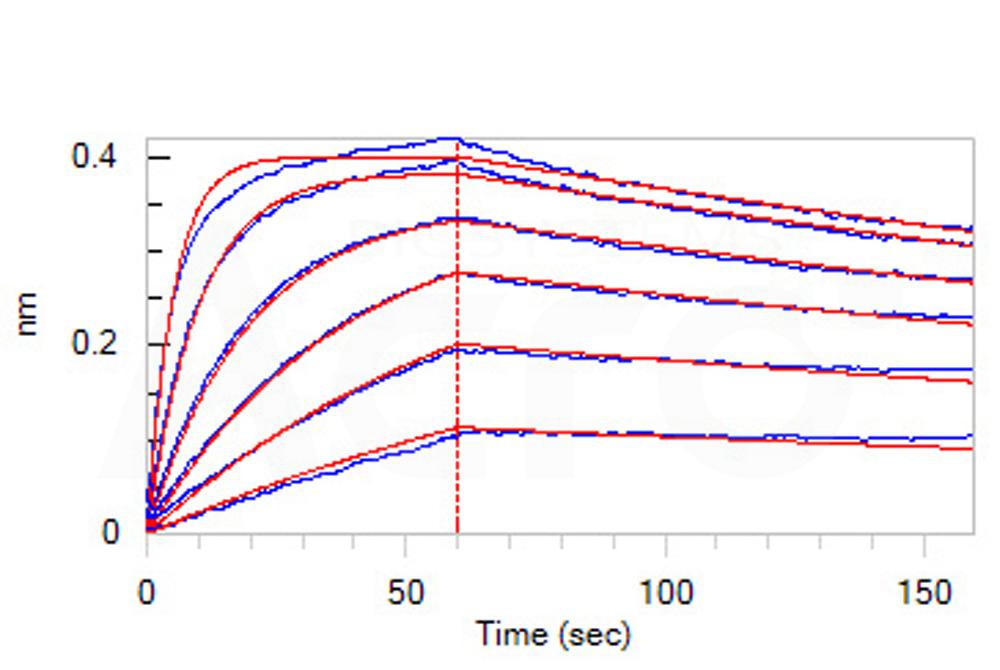 PCSK9 BLI