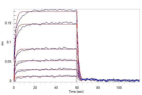 Human PD-L1 / B7-H1 Protein, Tag Free (MALS verified)