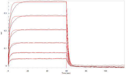 Human PD-L1 / B7-H1 Protein, His Tag, Ultra Low Endotoxin (MALS