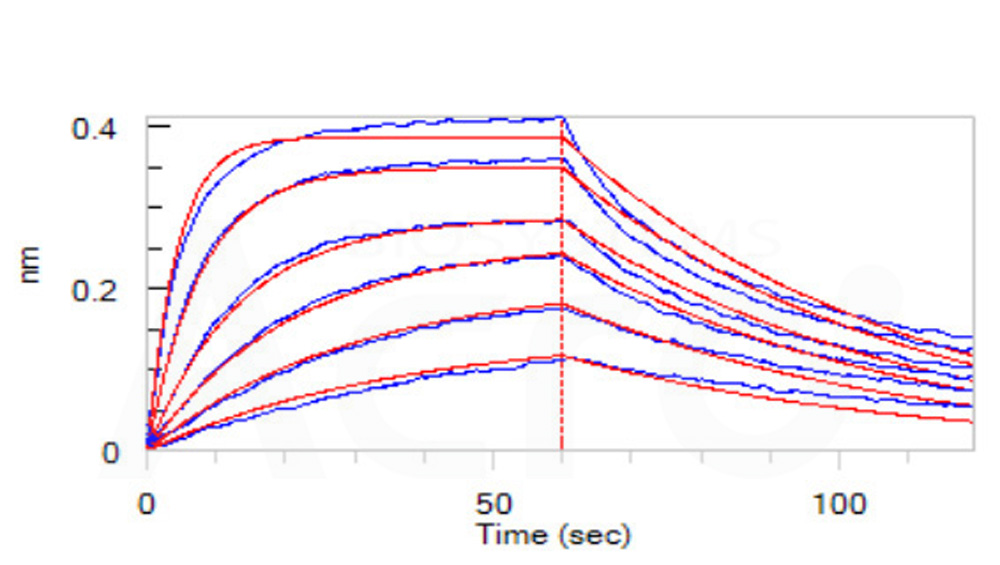 Human PD-1 / PDCD1 Protein, His Tag, low endotoxin (MALS verifi